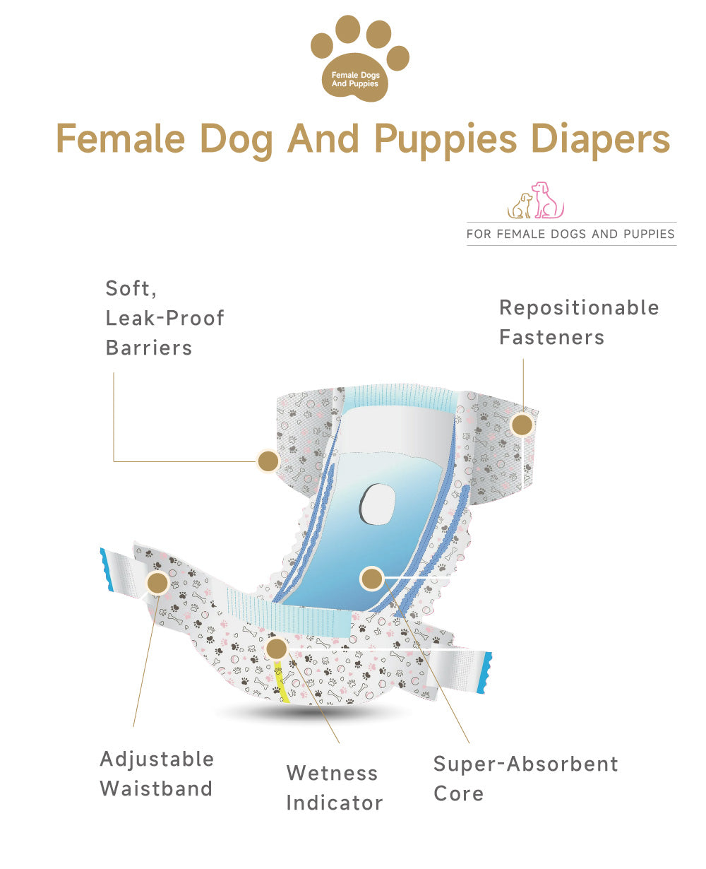 Female Dog And Puppies Diapers