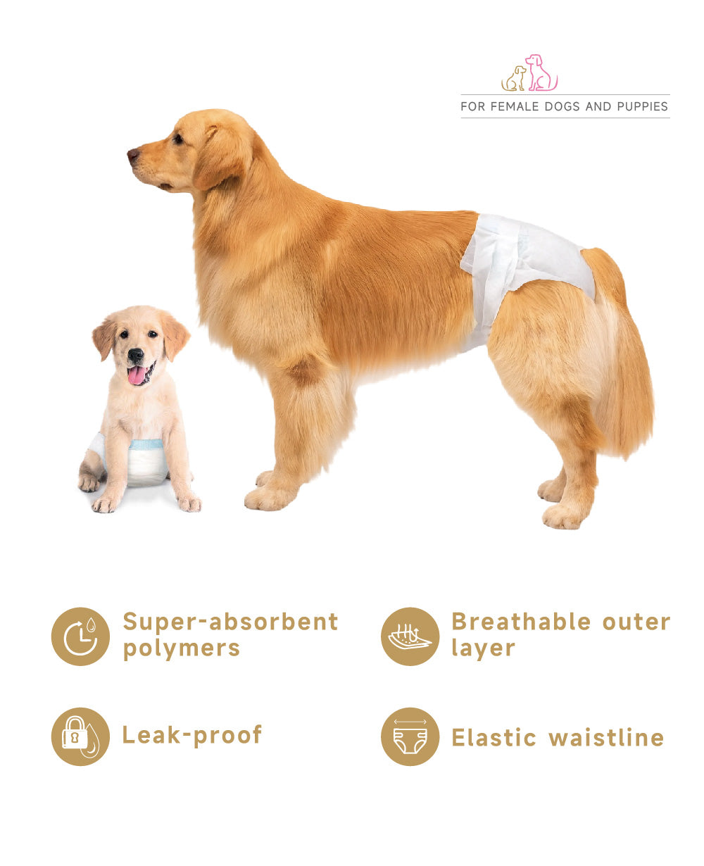 Female Dog And Puppies Diapers
