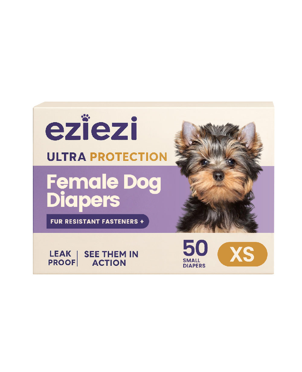 Female Dog And Puppies Diapers