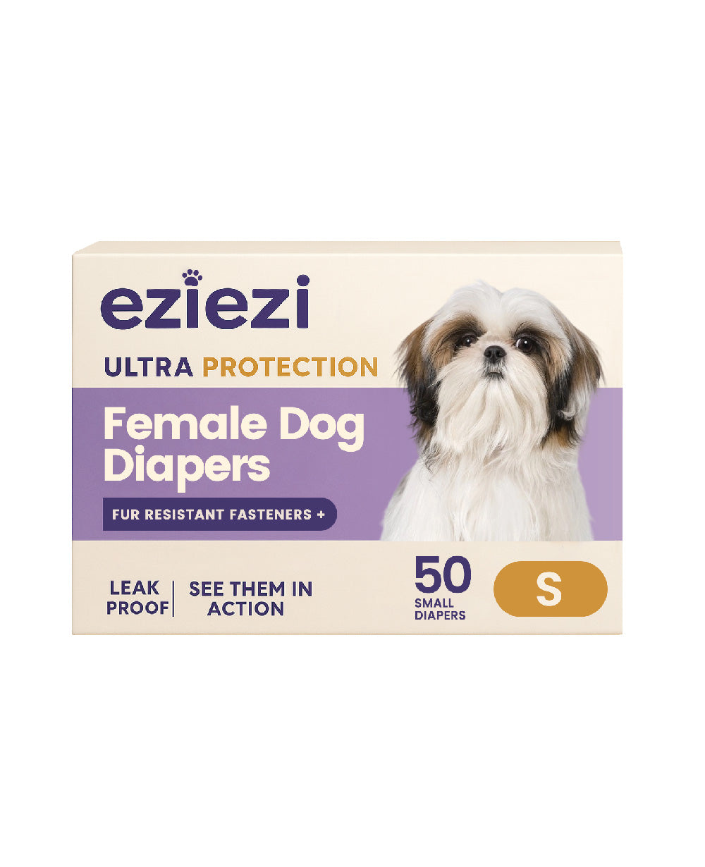 Female Dog And Puppies Diapers