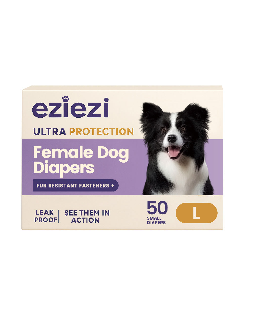 Female Dog And Puppies Diapers