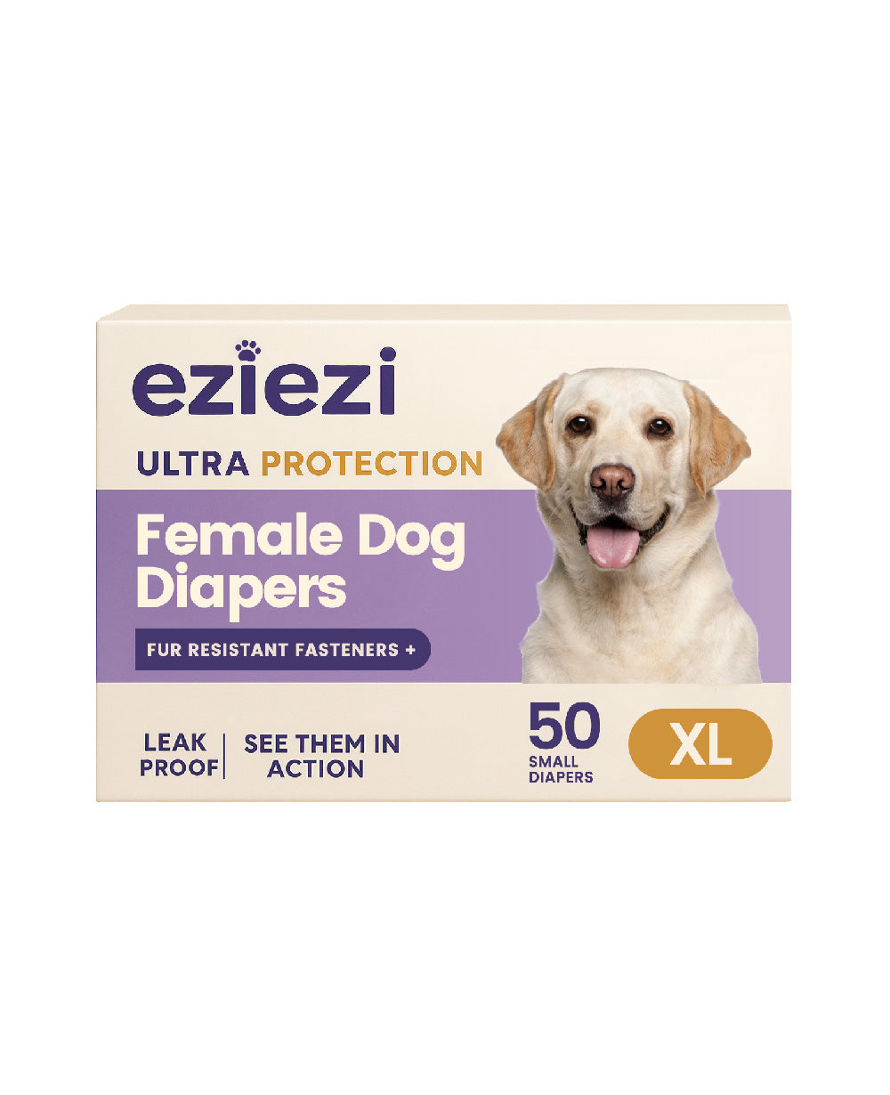 Female Dog And Puppies Diapers