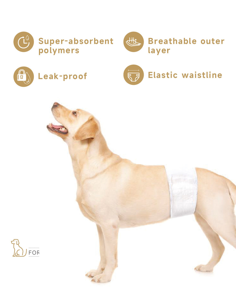 Male Wrap Dog Diapers
