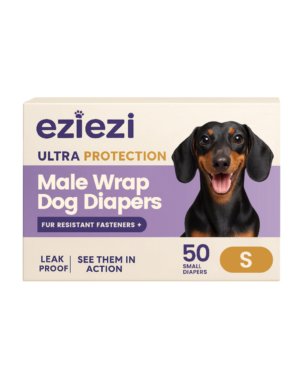 Male Wrap Dog Diapers