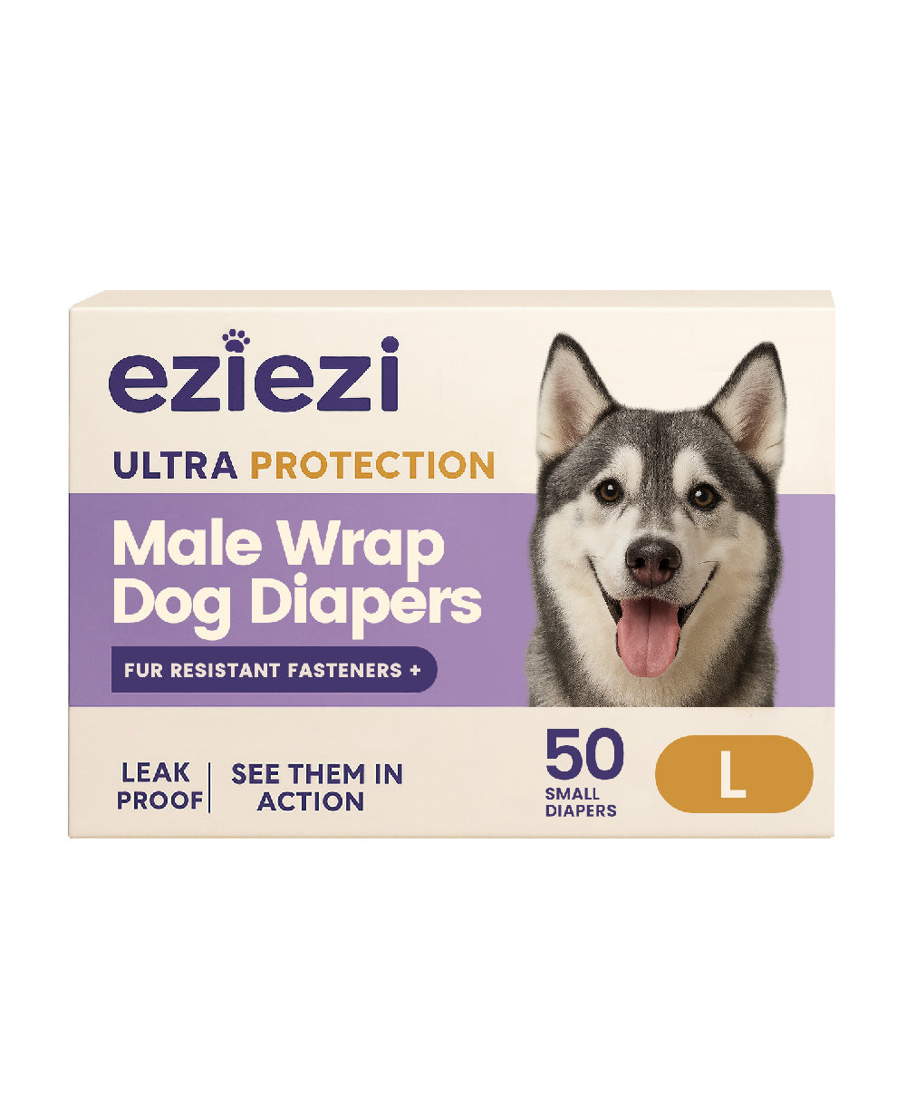 Male Wrap Dog Diapers