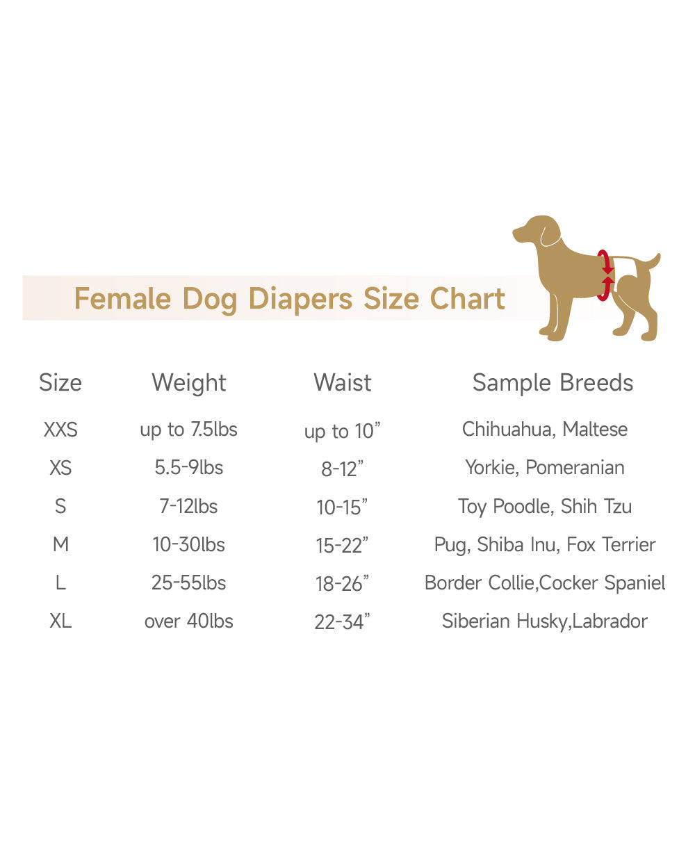 Female Dog And Puppies Diapers